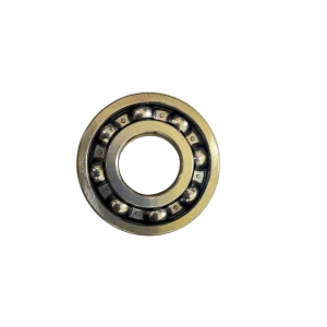 Bearing 6306