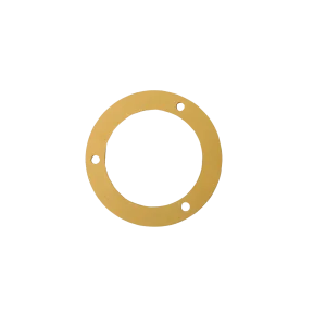 VM Motor Side Cover Gasket