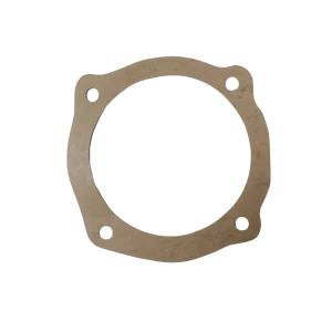 Vacuum Motor Gasket