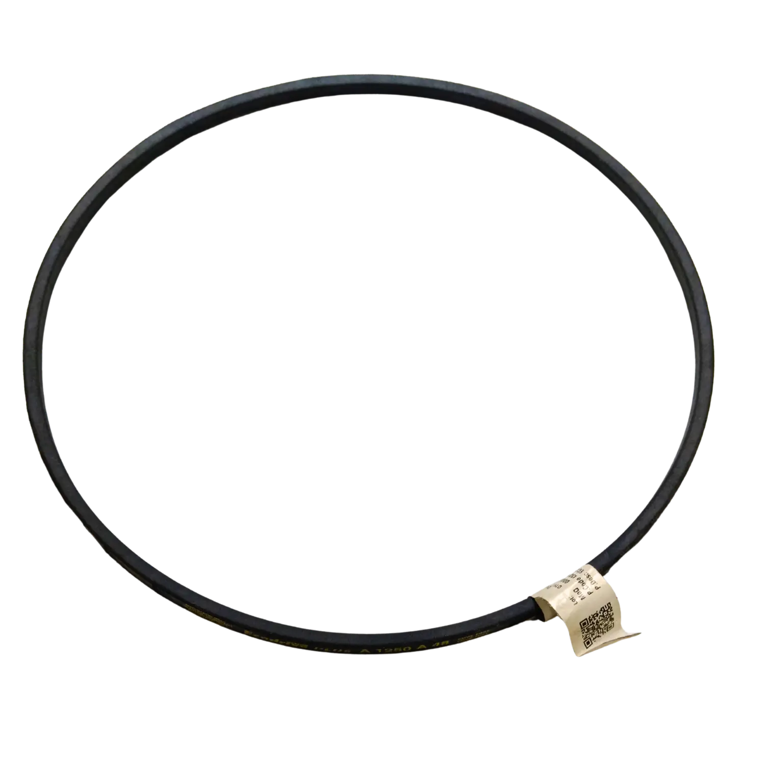 A36 Belt