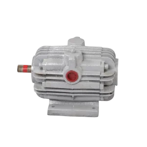 Vacuum Motor