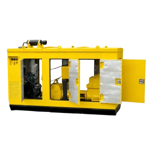6 Inch Piston Canopy Dewatering Pump Fujairah