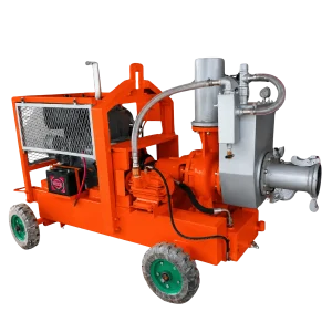 6 Inch Stainless Steel Pumps