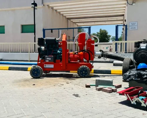 orax roots pumps sites (233)